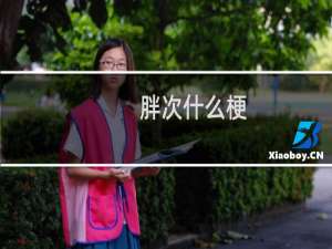 胖次什么梗