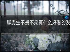 胖男生不烫不染有什么好看的发型