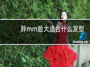 胖mm脸大适合什么发型