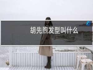 胡先煦发型叫什么
