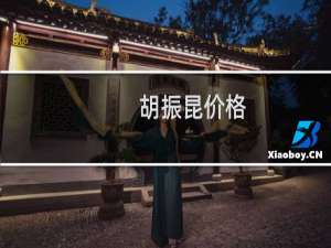 胡振昆价格