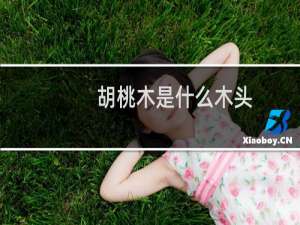 胡桃木是什么木头