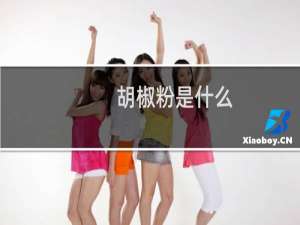 胡椒粉是什么（胡椒粉是什么）