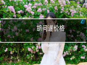 胡问遂价格