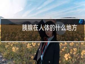 胰腺在人体的什么地方图（胰腺在人体的什么位置）