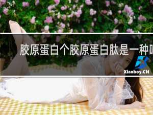 胶原蛋白个胶原蛋白肽是一种吗