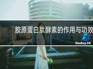 胶原蛋白肽酵素的作用与功效