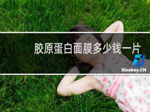 胶原蛋白面膜多少钱一片