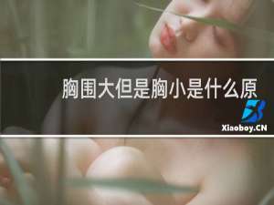 胸围大但是胸小是什么原因