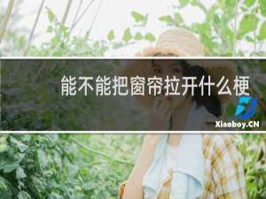 能不能把窗帘拉开什么梗？能不能把窗帘拉开是什么意思什么梗