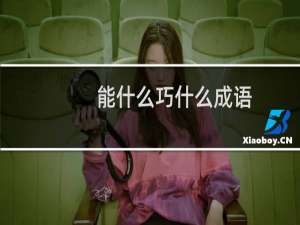 能什么巧什么成语