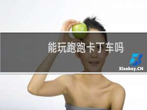 能玩跑跑卡丁车吗