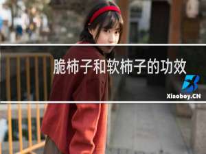 脆柿子和软柿子的功效与作用（脆柿子和软柿子的功效）