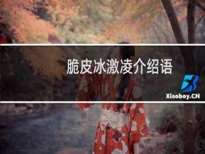 脆皮冰激凌介绍语