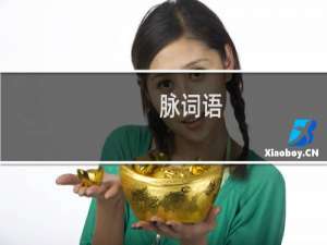 脉词语