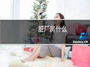 脏厂房什么