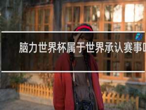 脑力世界杯属于世界承认赛事吗