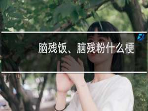 脑残饭、脑残粉什么梗