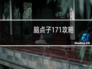 脑点子171攻略