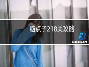 脑点子218关攻略