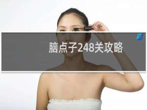 脑点子248关攻略