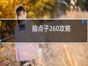 脑点子260攻略