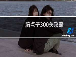 脑点子300关攻略