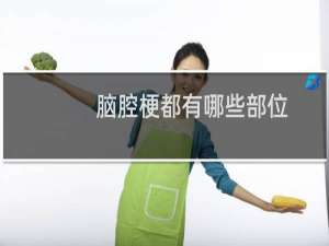 脑腔梗都有哪些部位