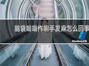 脑袋嗡嗡作响手发麻怎么回事