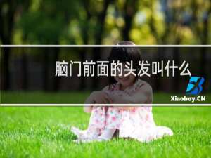 脑门前面的头发叫什么