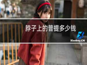脖子上的普提多少钱