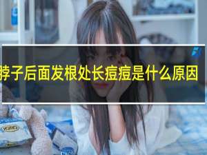 脖子后面发根处长痘痘是什么原因