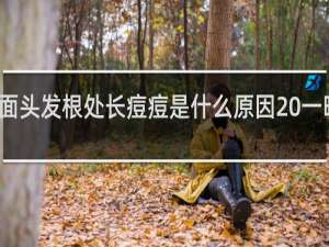 脖子后面头发根处长痘痘是什么原因 一晚上长了好多