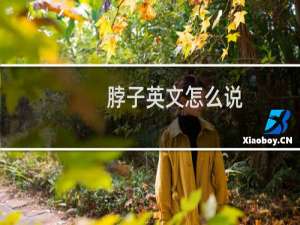 脖子英文怎么说