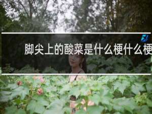 脚尖上的酸菜是什么梗什么梗