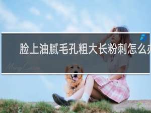 脸上油腻毛孔粗大长粉刺怎么办