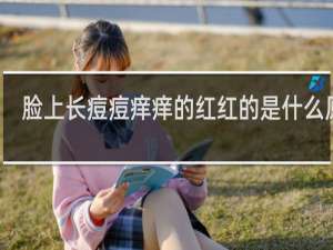 脸上长痘痘痒痒的红红的是什么原因