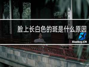 脸上长白色的斑是什么原因