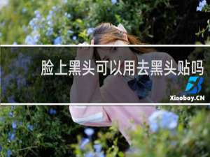 脸上黑头可以用去黑头贴吗