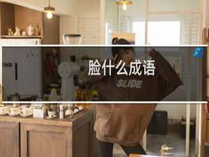 脸什么成语