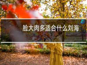脸大肉多适合什么刘海