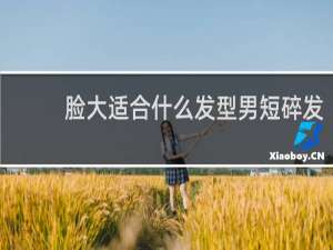 脸大适合什么发型男短碎发