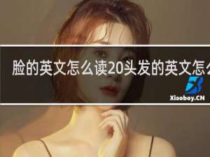 脸的英文怎么读 头发的英文怎么读