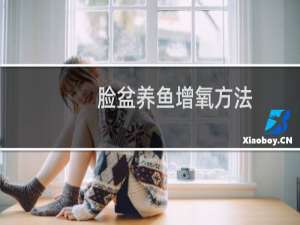 脸盆养鱼增氧方法