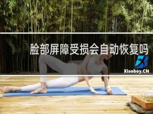 脸部屏障受损会自动恢复吗