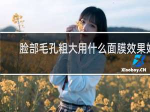 脸部毛孔粗大用什么面膜效果好
