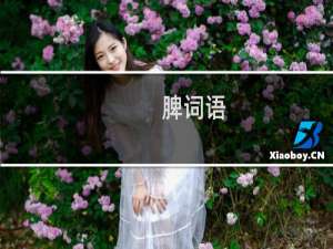 脾词语