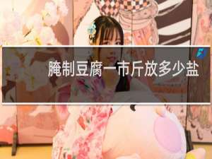 腌制豆腐一市斤放多少盐