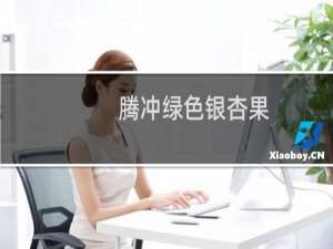 腾冲绿色银杏果