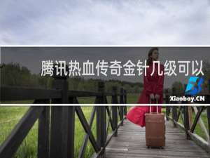 腾讯热血传奇金针几级可以